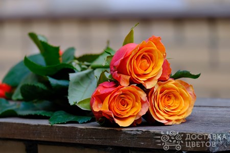 Букет из 3 оранжевых роз "Испания"